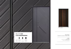 2021德斯杰安全門DSJ-312朝霞