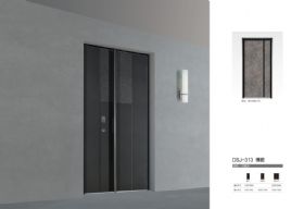 2021德斯杰安全門DSJ-313博雅
